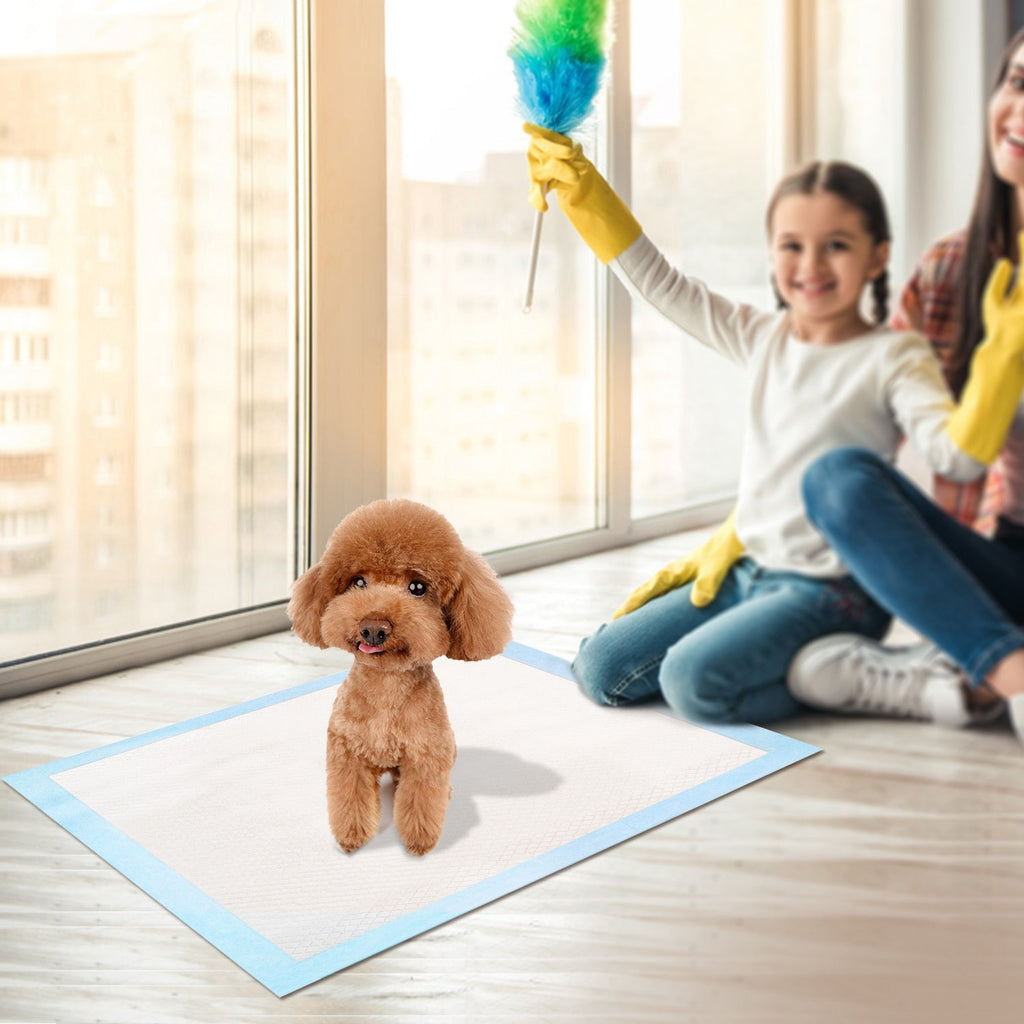50Pcs Per Set Dog Training Pads Puppy Pee Pads Cat Wee Mats Potty-Train 24in X 18in M - The Peculiar Pet