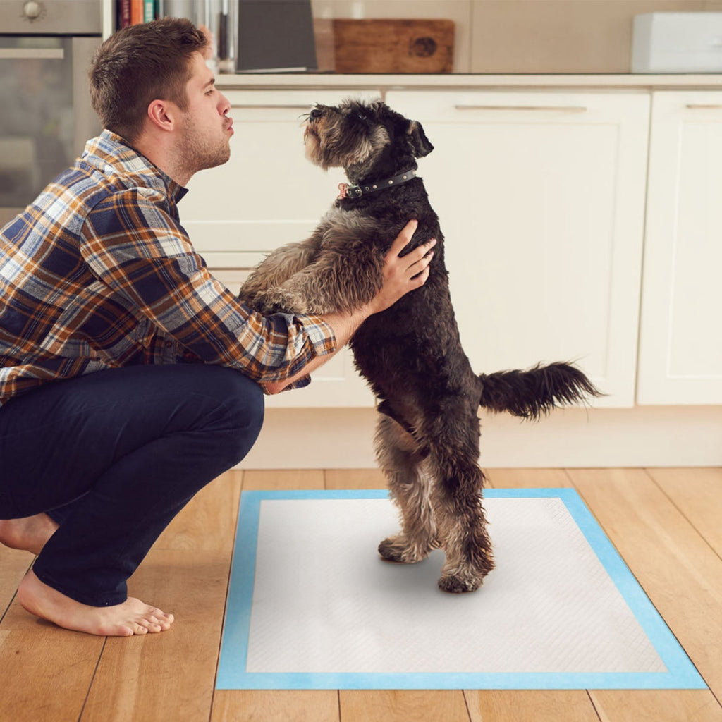 50Pcs Per Set Dog Training Pads Puppy Pee Pads Cat Wee Mats Potty-Train 24in X 18in M - The Peculiar Pet