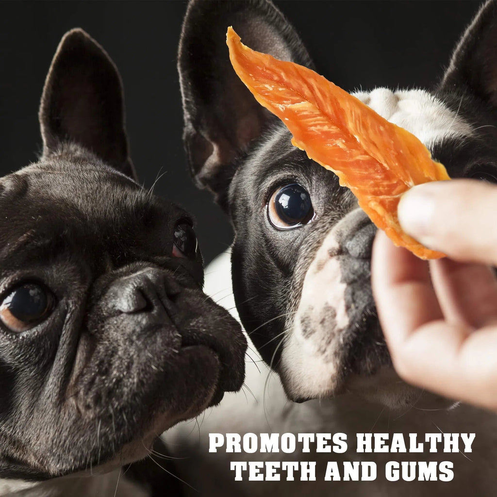 Chicken Jerky Dog Treats 1.5 Lb Human Grade Pet Snacks Grain Free Organic Meat All Natural High Protein Dried Strips Best Chews For Training Small & Large Dogs - The Peculiar Pet