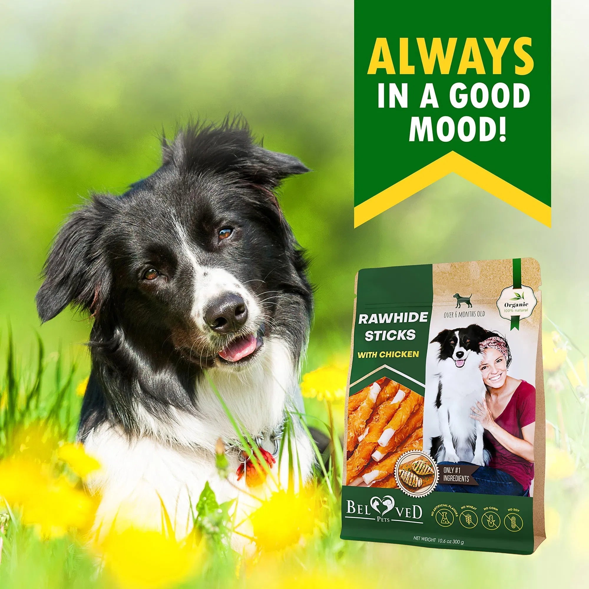 Dog Sticks Wrapped With Chicken & Pet Natural Chew Treats Grain Free Organic Meat & Human Grade Dried Snacks In Bulk For Training Small & Large Dogs - The Peculiar Pet