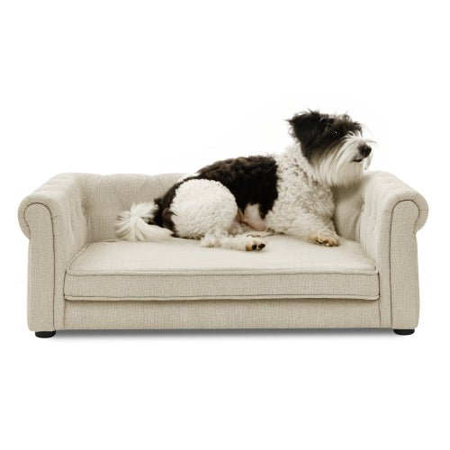Elegant Rectangular Pet Bed For Medium And Large Dogs - The Peculiar Pet