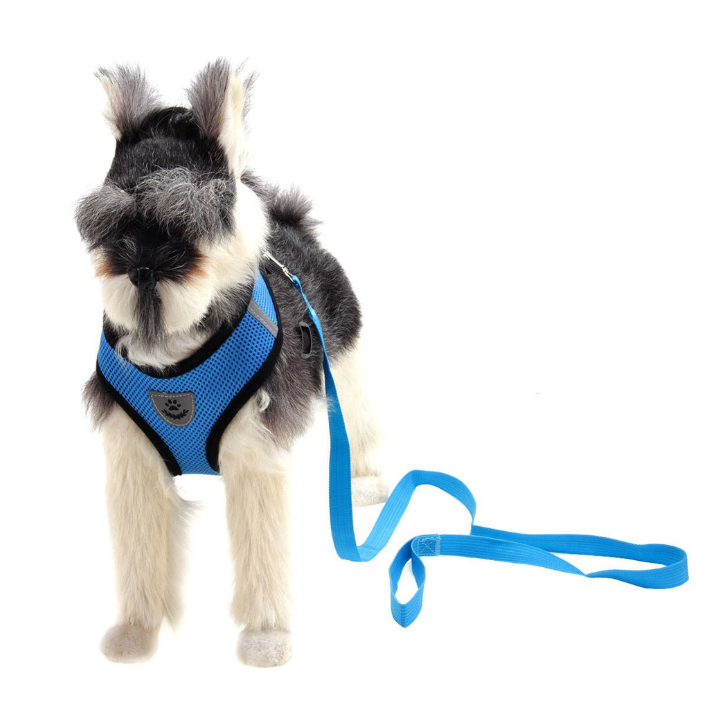Fashionable High-end Multi-color Dog Harness - The Peculiar Pet