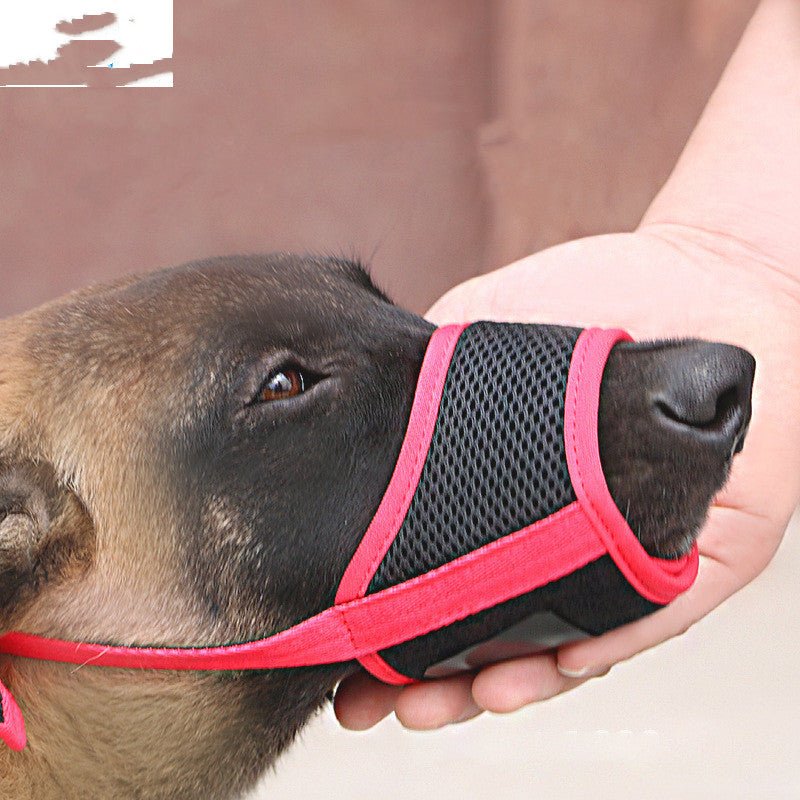 Mouth Cover To Prevent Eating Indiscriminately Large Labrador Dog - The Peculiar Pet