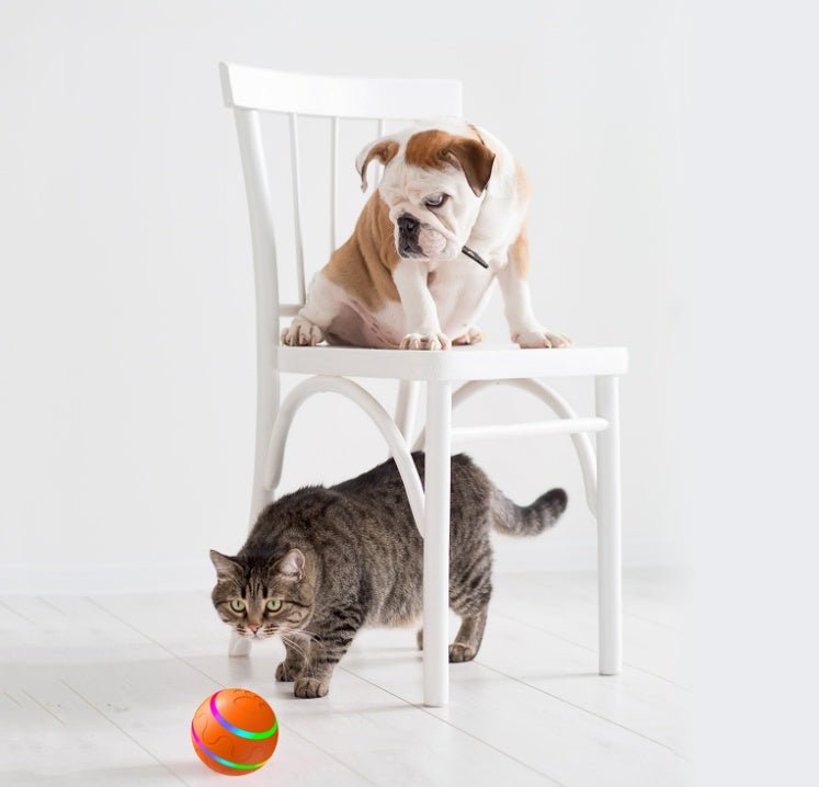 Pet New Cat Wicked Ball Toy Intelligent Ball USB Cat Toys Self Rotating Ball Automatic Rotation Ball - The Peculiar Pet