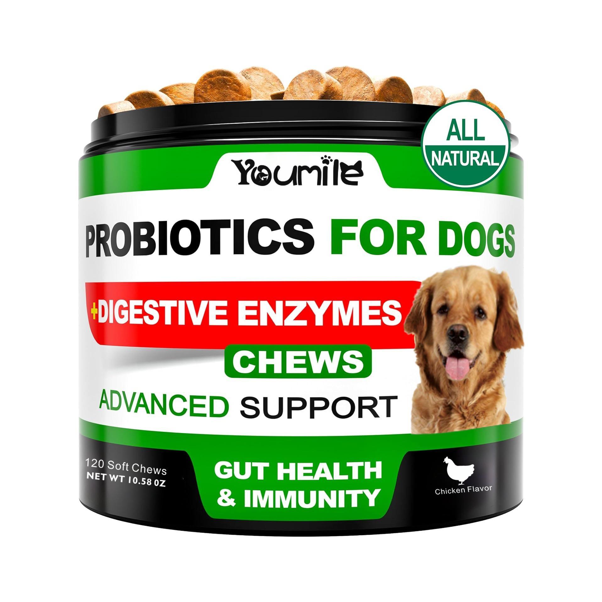 Youmile Hip & Joint Health Supplement For Dogs 120 Chews, Glucosamine Chondroitin MSM Dog Chews With Hyaluronic Acid, Liver Flavored Bone & Joint Support Supplement, For All Breeds - The Peculiar Pet