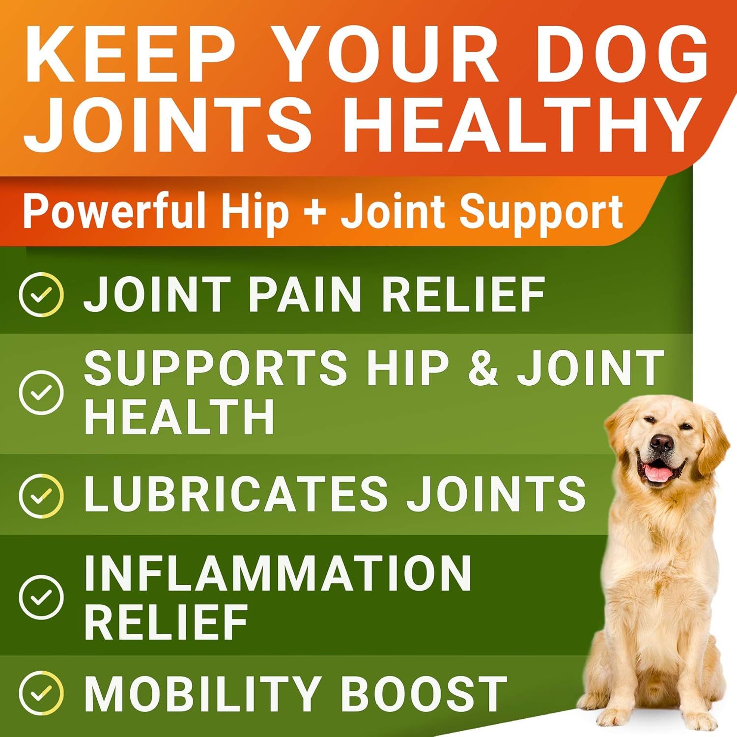 Youmile Hip & Joint Health Supplement For Dogs 120 Chews, Glucosamine Chondroitin MSM Dog Chews With Hyaluronic Acid, Liver Flavored Bone & Joint Support Supplement, For All Breeds - The Peculiar Pet